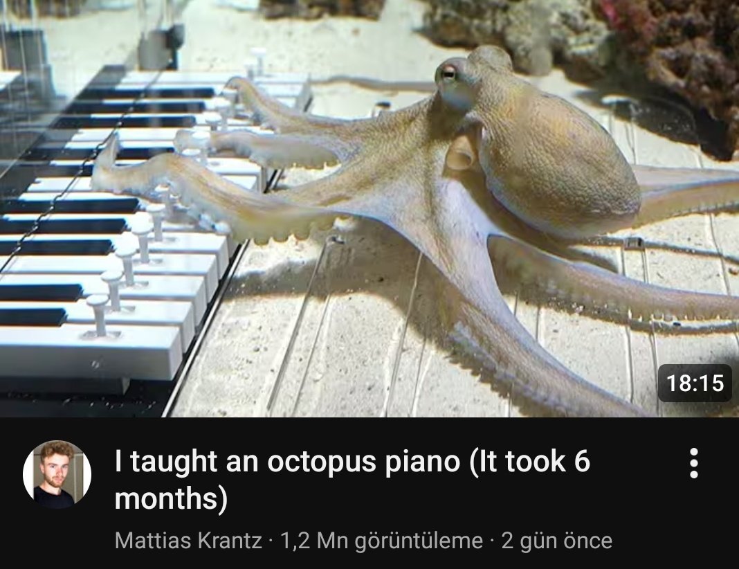 Beatriz Rodrigues 🐐💜🧩🍋‍🟩 tweet media