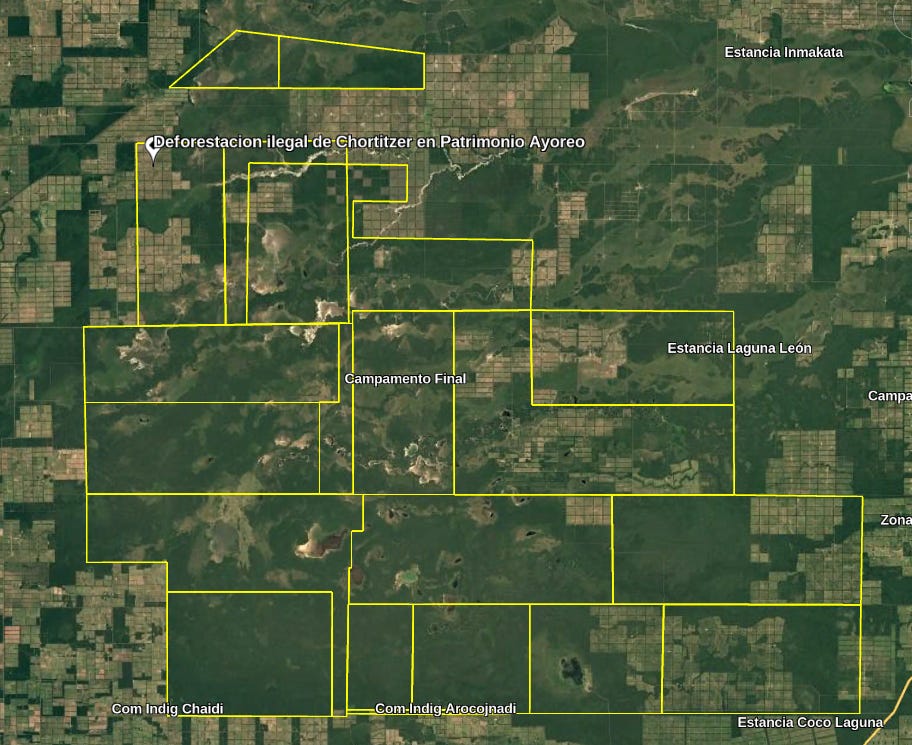 Maximiliano Manzoni tweet media