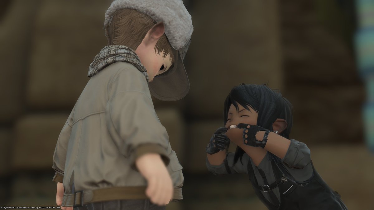 보기절테리어(상태:번탈즈) tweet media