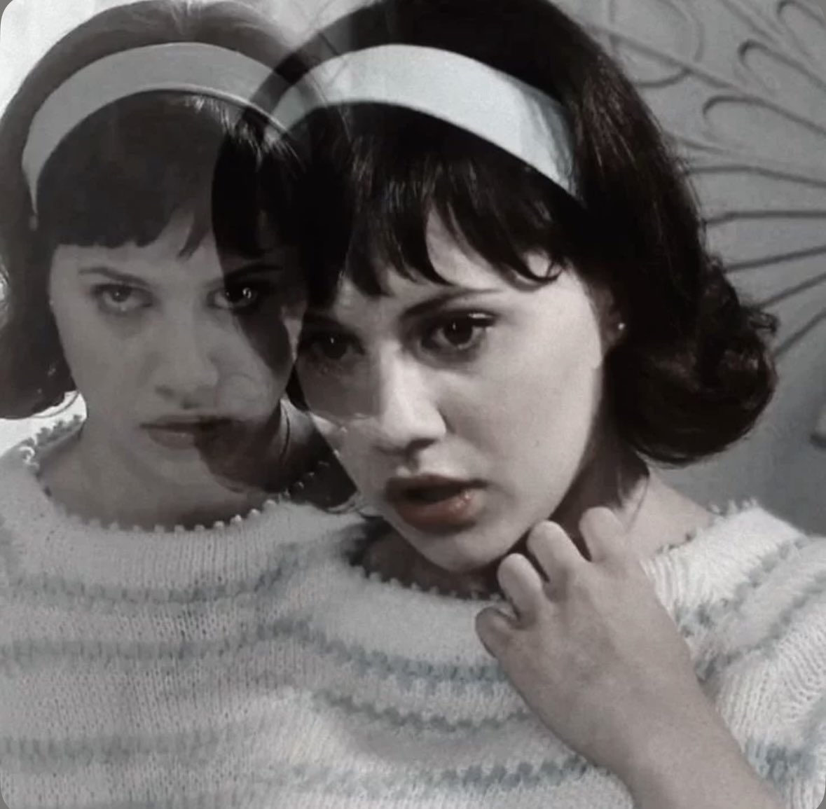 🐜🪲🕷️ tweet media