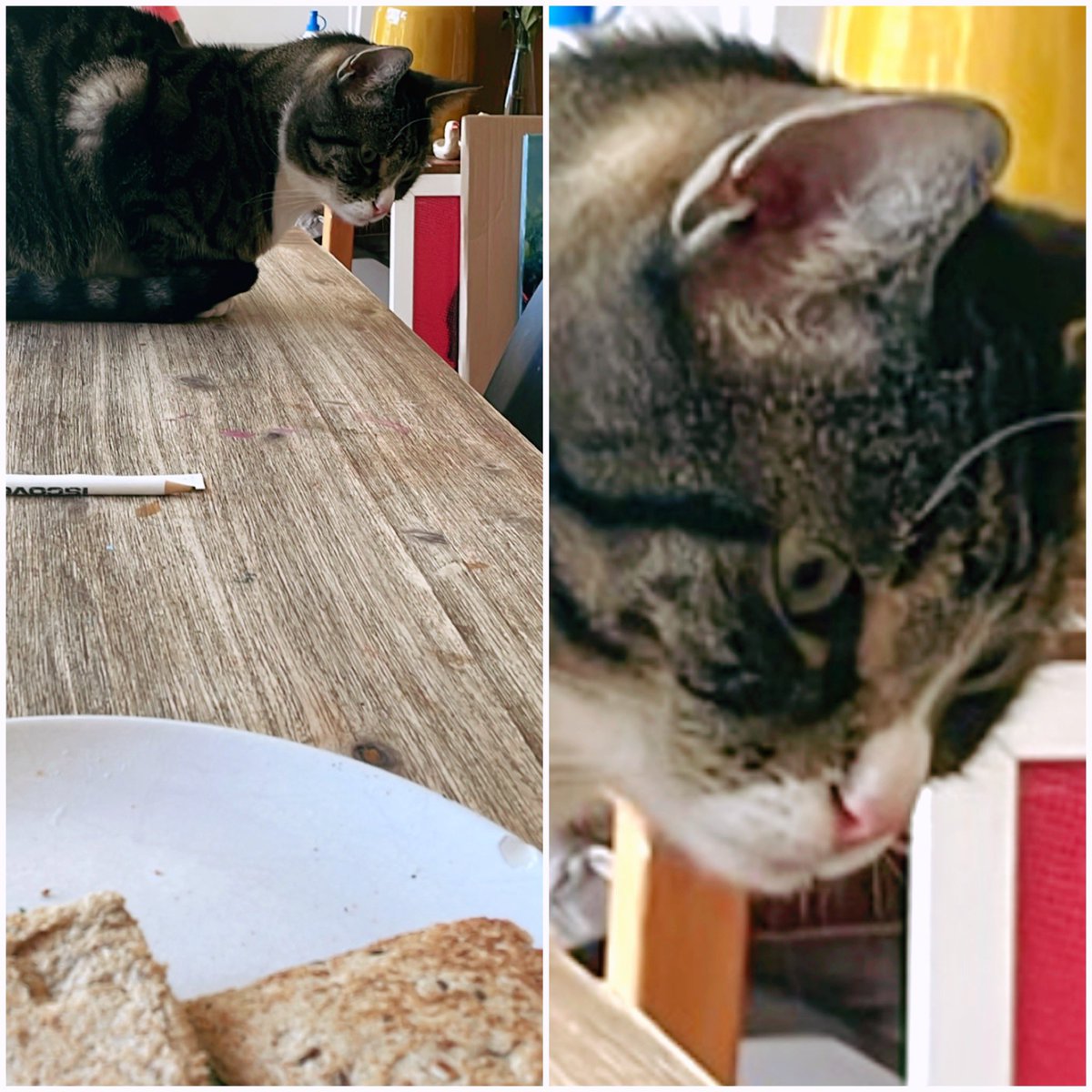 Nini Bela tweet media