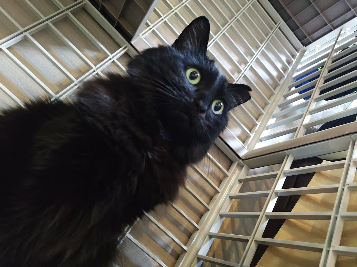 まるん tweet media