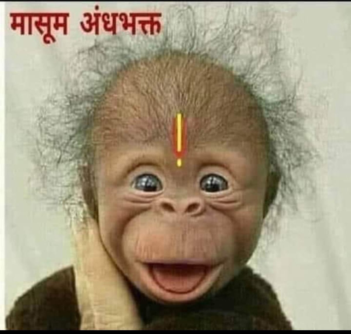 DharmrajSubhas1's tweet photo. @shubham_9909 ये गप्प रे बाजार बुंग्या... https://t.co/EeOUebUcSe