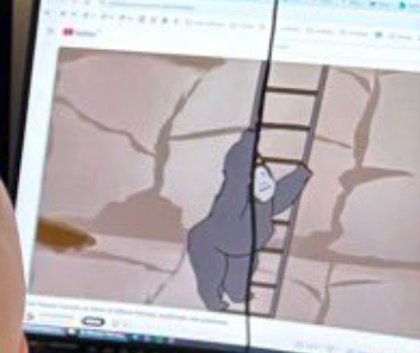 CodiFreestyle tweet media