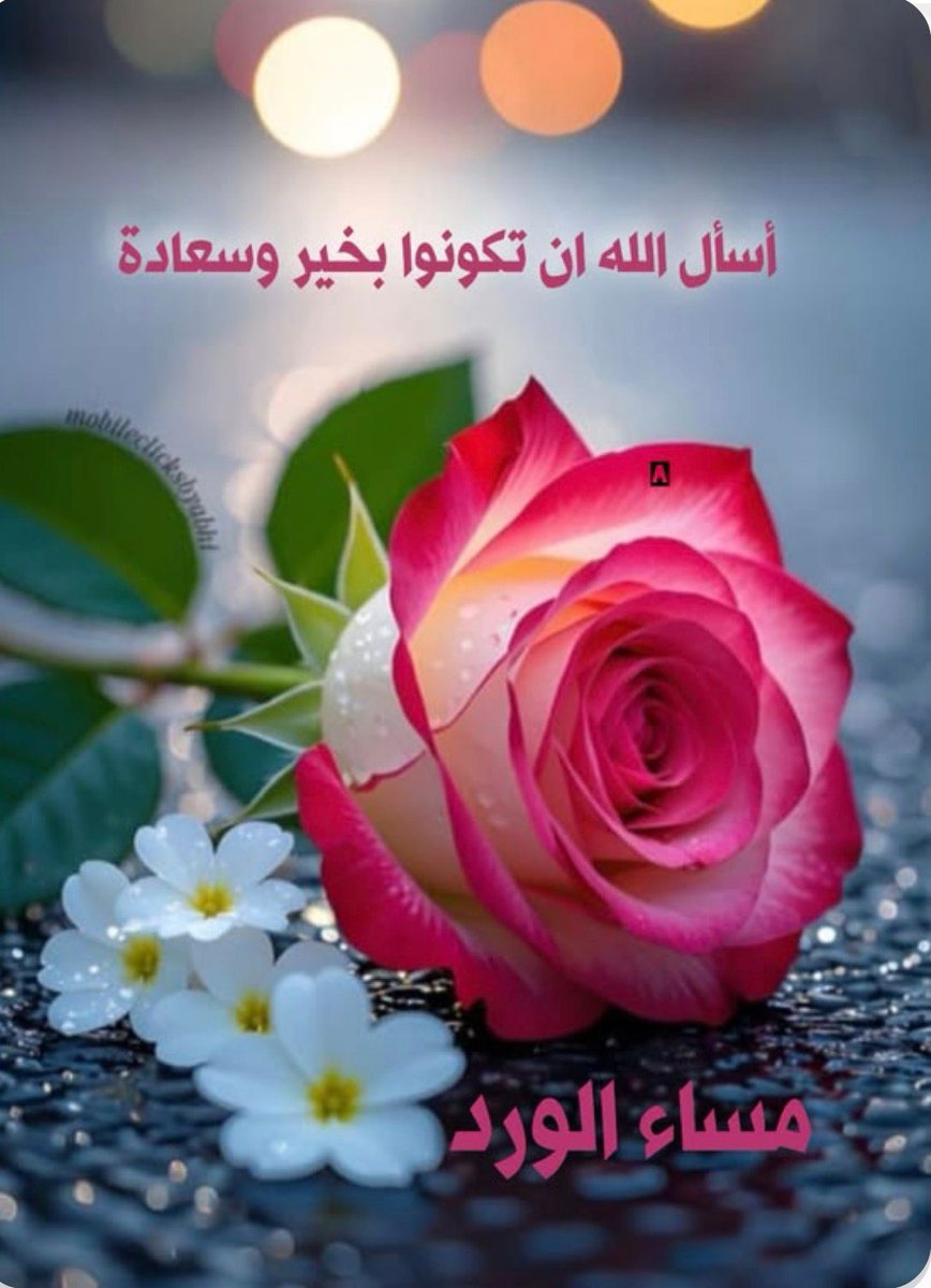 عيون المها 🇮🇶 tweet media