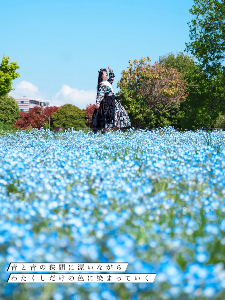青と青の狭間に漂いながら
わたくしだけの色に染まっていく