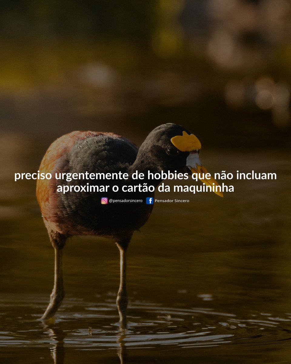 pensadortwitta's tweet photo. https://t.co/n5mWhSzBKf