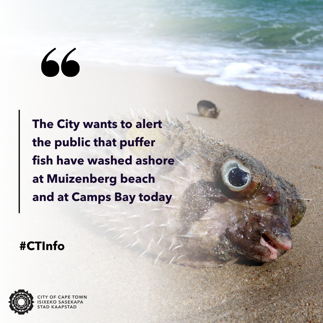 City of Cape Town tweet media