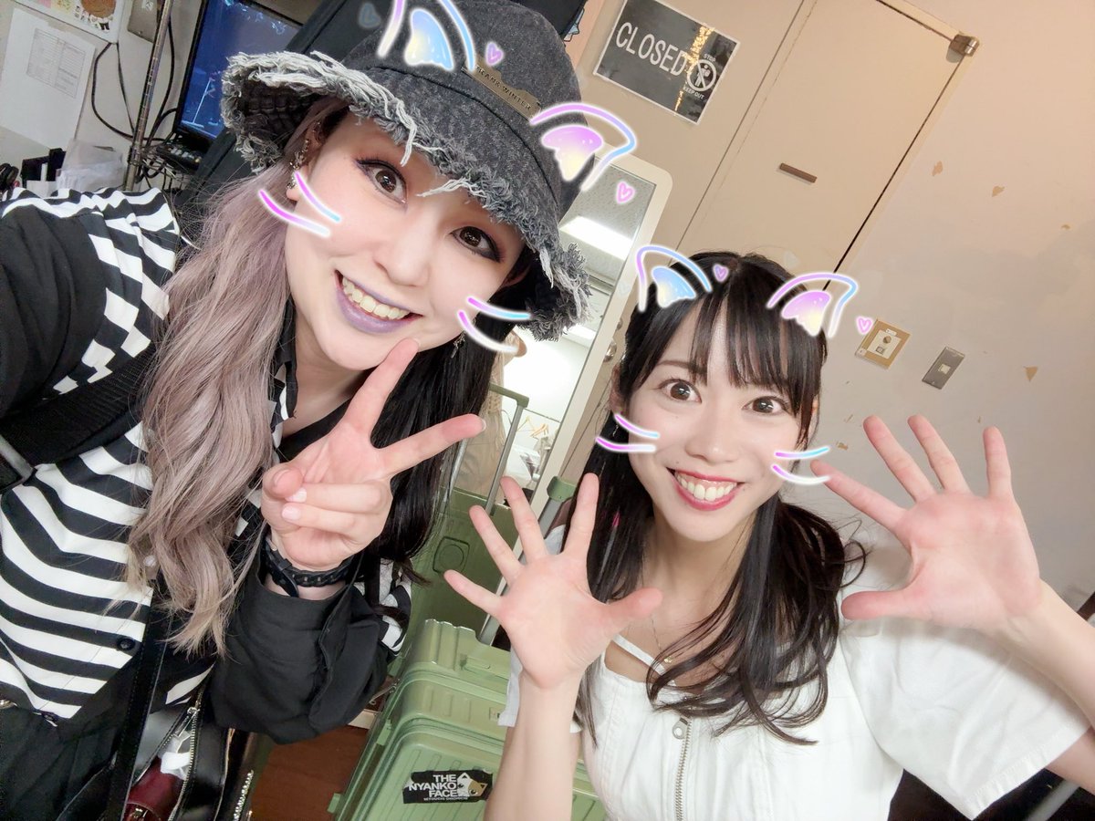 ひーちゃん@ザ・ヒーナキャット tweet media