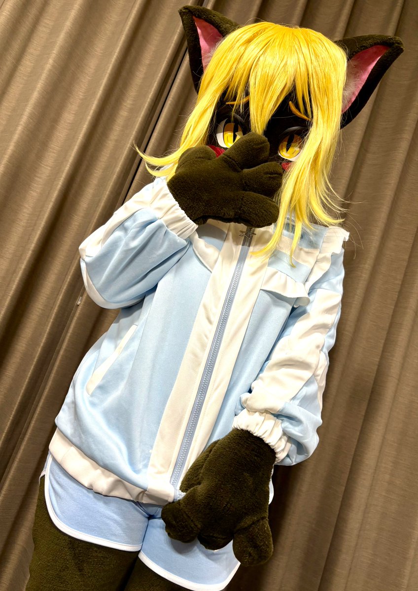 黒猫ちゃん tweet media