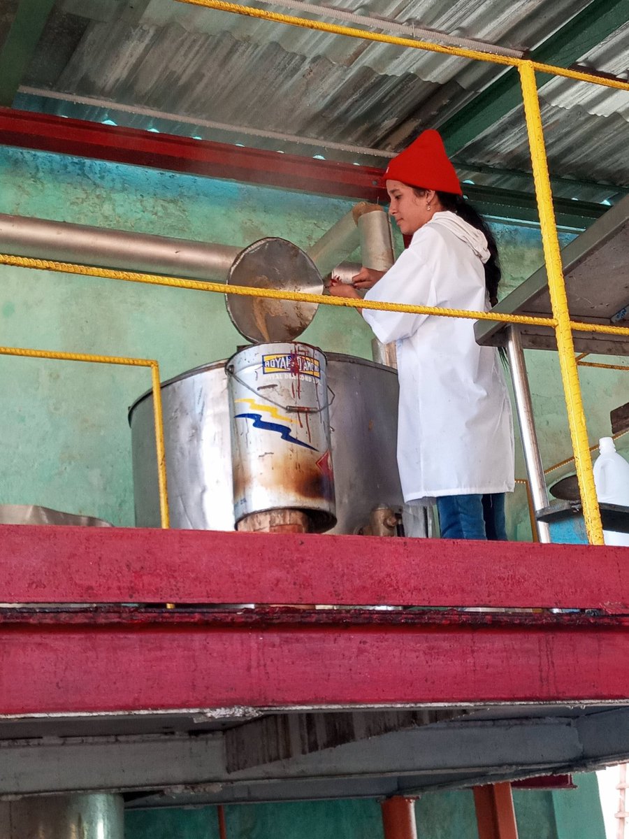 Luis Alberto Rodriguez tweet media