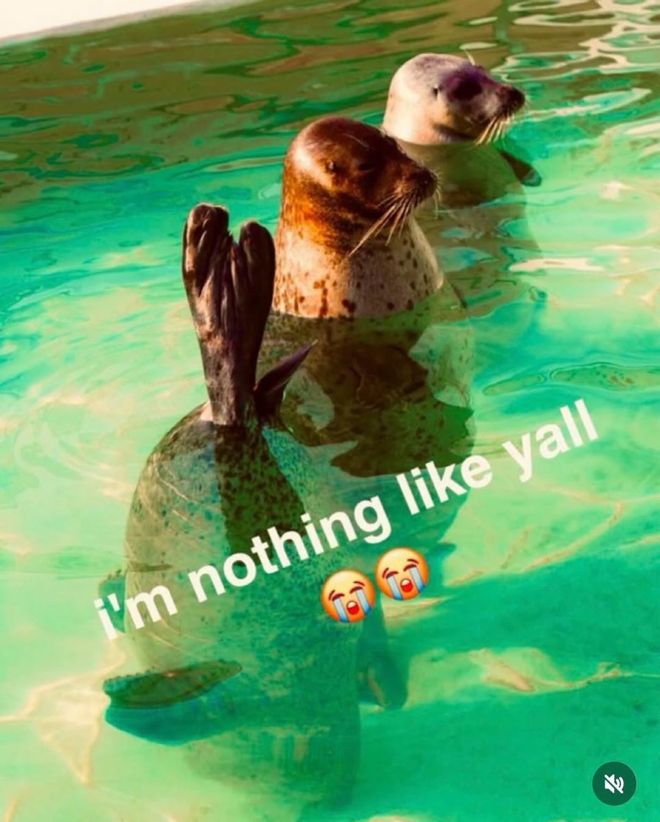 Grande (@sixrande) on Twitter photo 