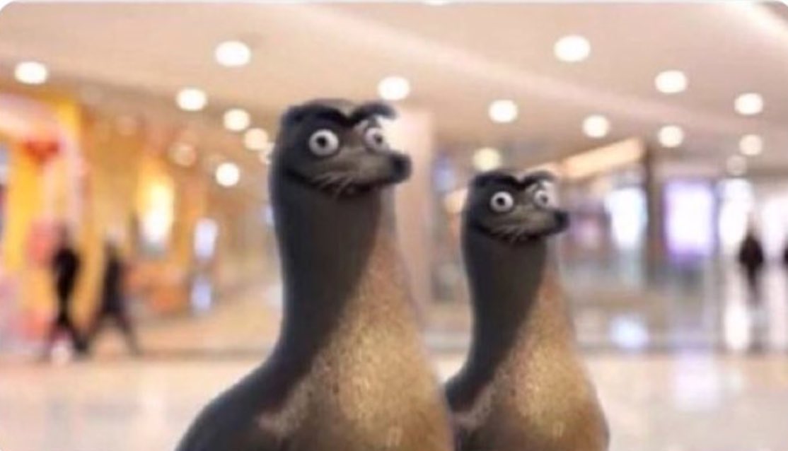 Hlghlghlg tweet media