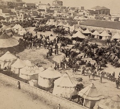 Muslim Landmarks Explored tweet media
