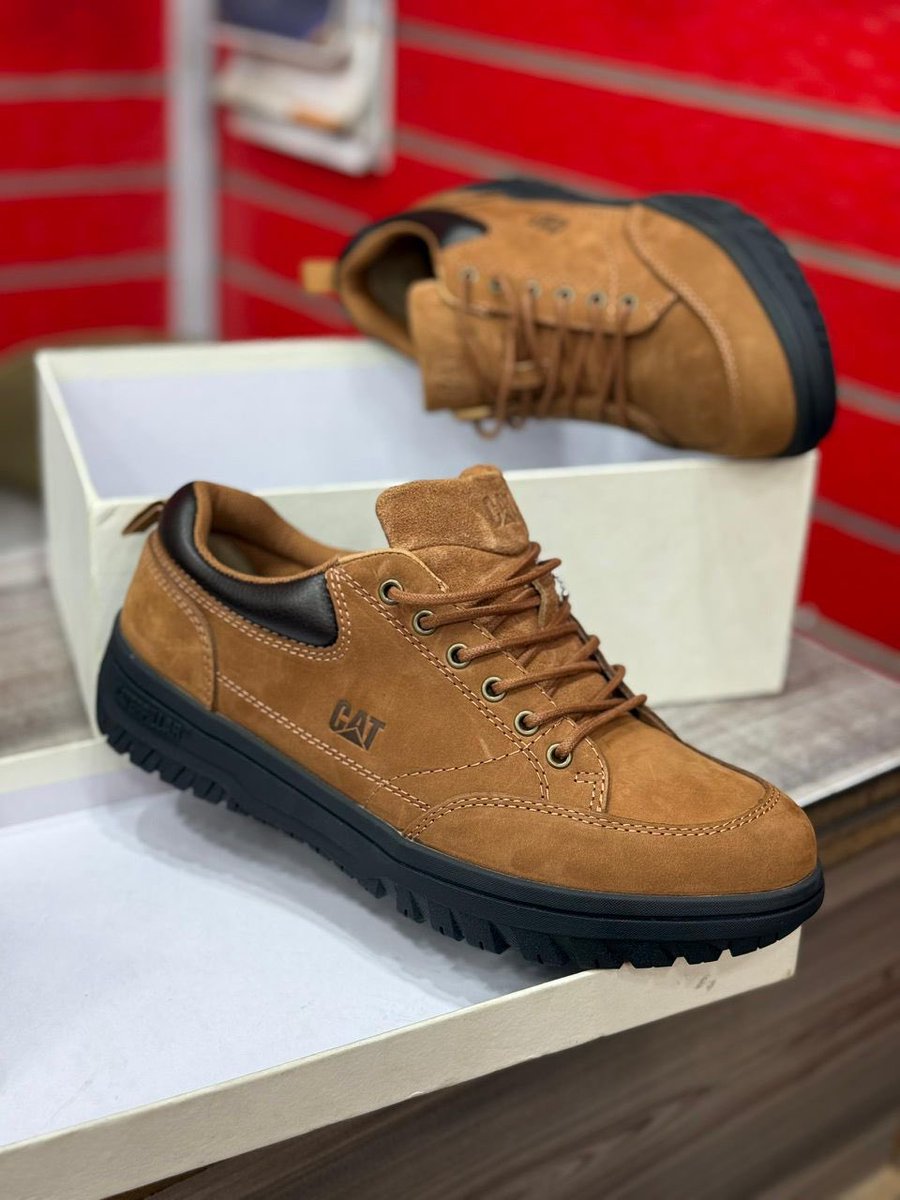 Tebbe 🫦 tweet media