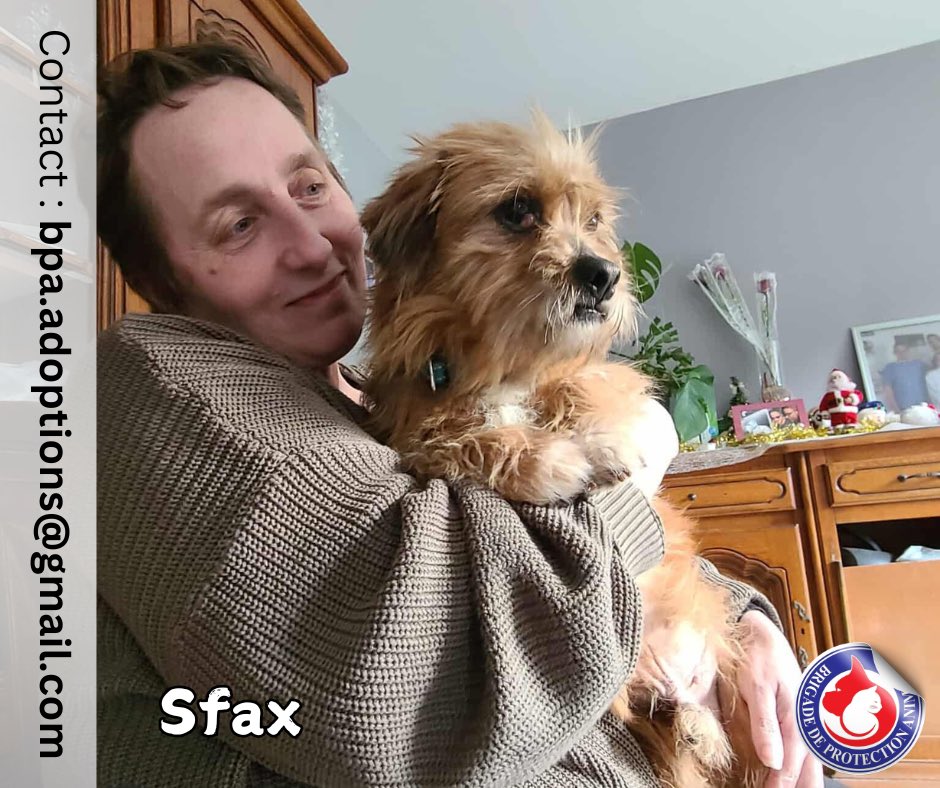 Brigade de Protection Animale – BPA tweet media