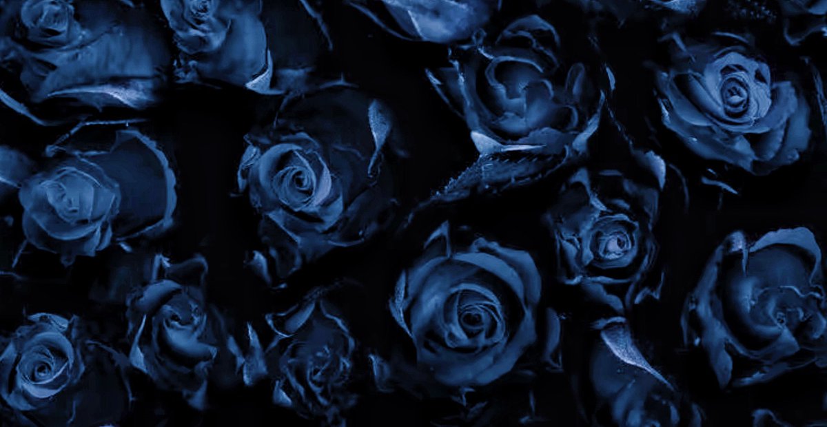 RIo__💚utopia tweet media