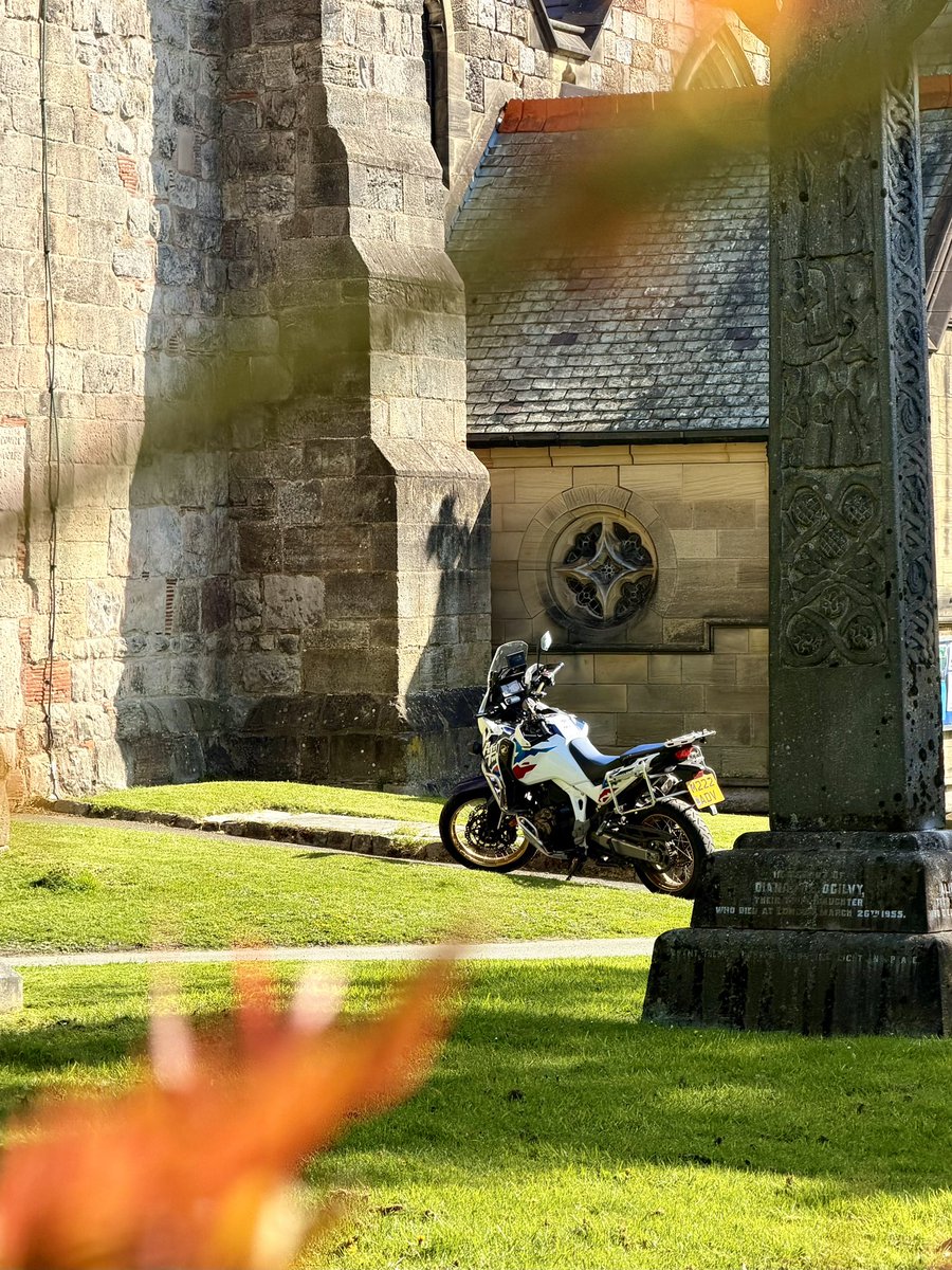 Maja 🏍 tweet media