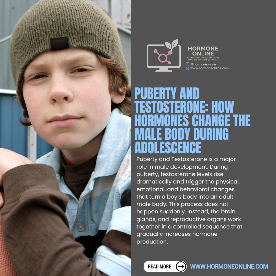 HormoneOnline's tweet image. Testosterone plays a major role in male puberty from body hair to muscle growth and mood swings. 💪

Want to understand how hormones shape the adolescent male body?
 👉 bit.ly/4trHKkg 

#Puberty #HormoneHealth #Testosterone #MensHealth #HormoneOnline