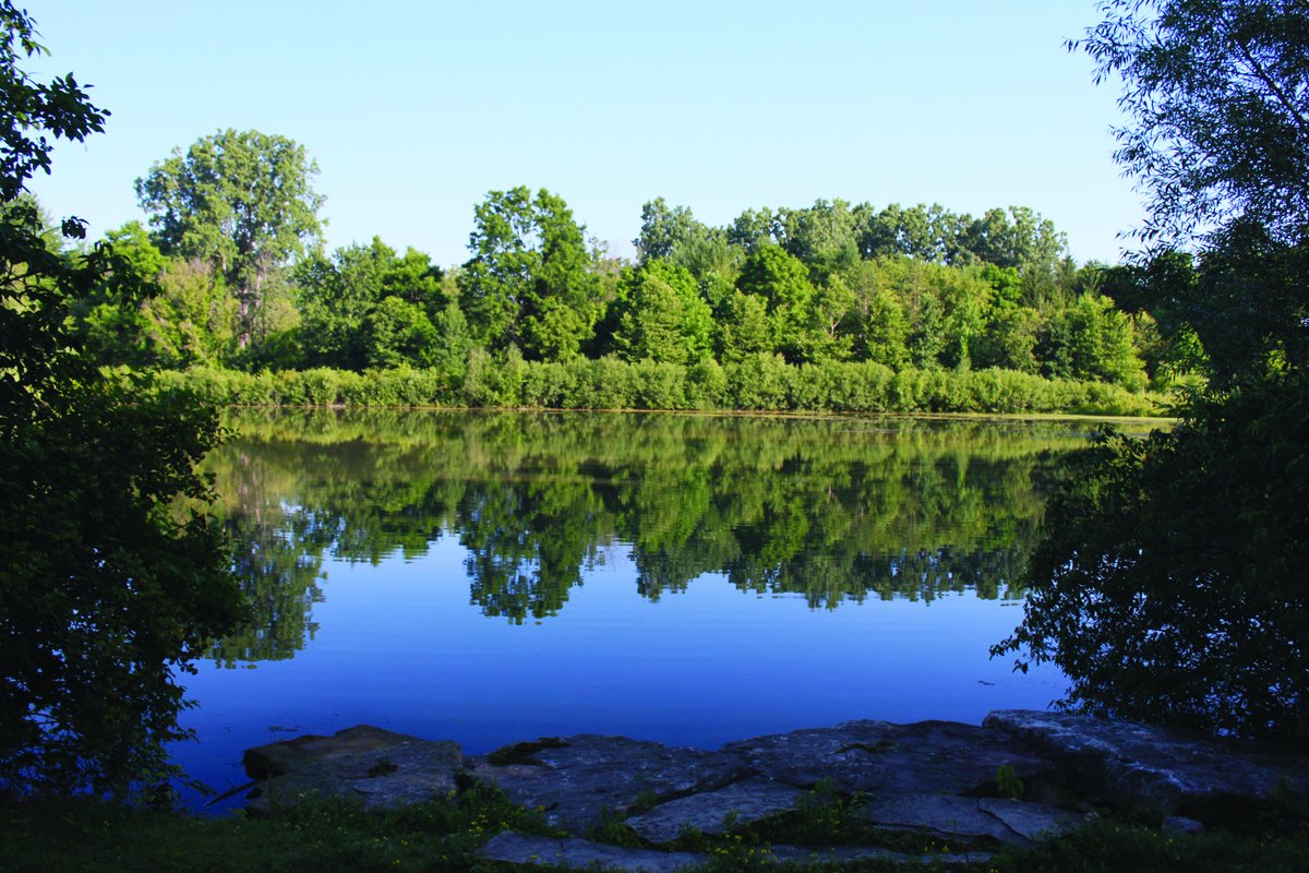 Conservation Ontario tweet media