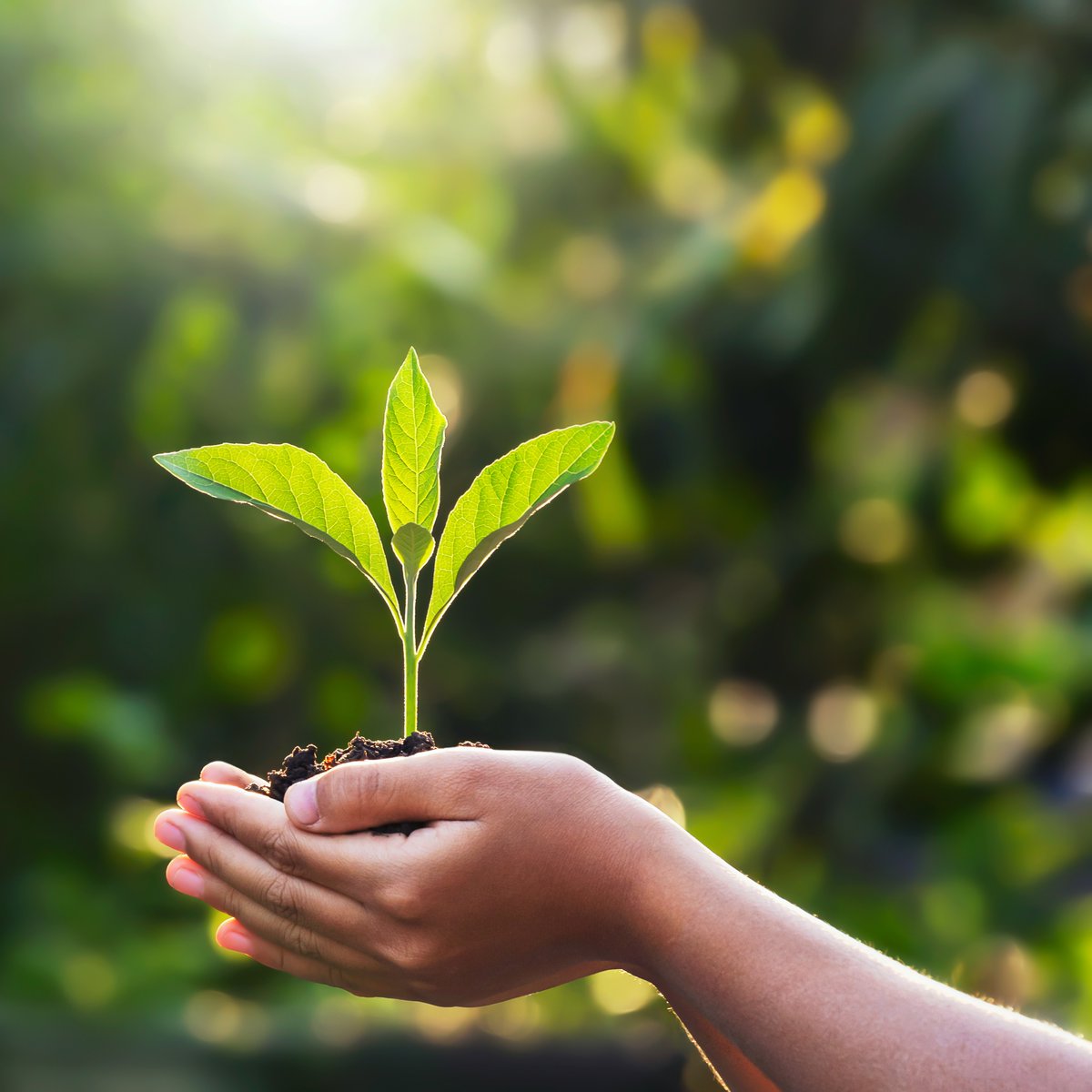 AAA_WCNY's tweet photo. 🌎This #EarthDay, remember that simple habits like reducing idling and keeping your tires properly inflated can lower emissions and save fuel! A win for you and the planet 🌱🚙💚 https://t.co/14pLrrOdDp