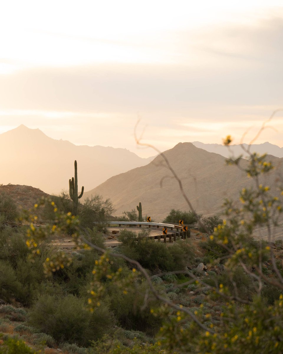 Senator Ruben Gallego tweet media