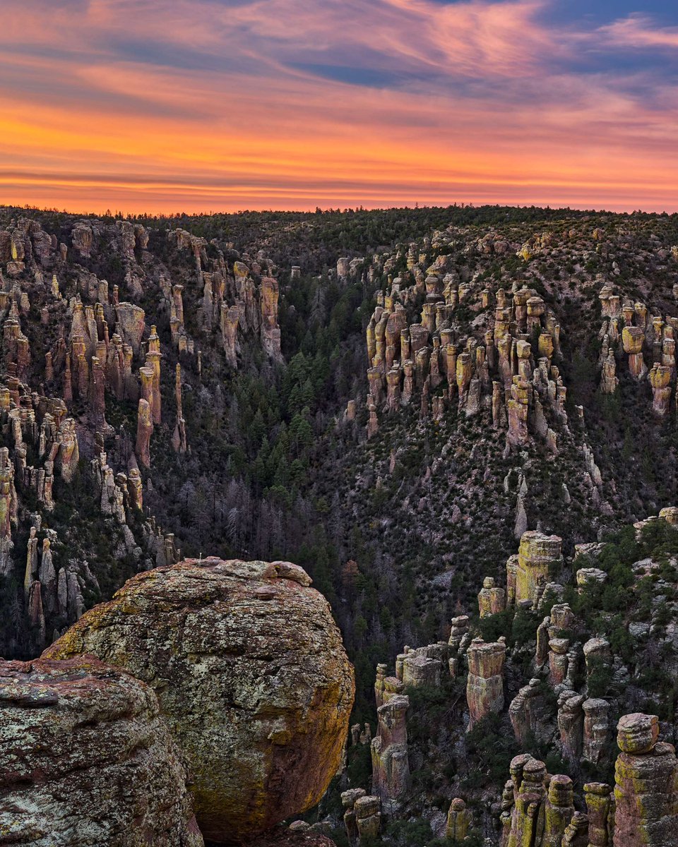Senator Ruben Gallego tweet media