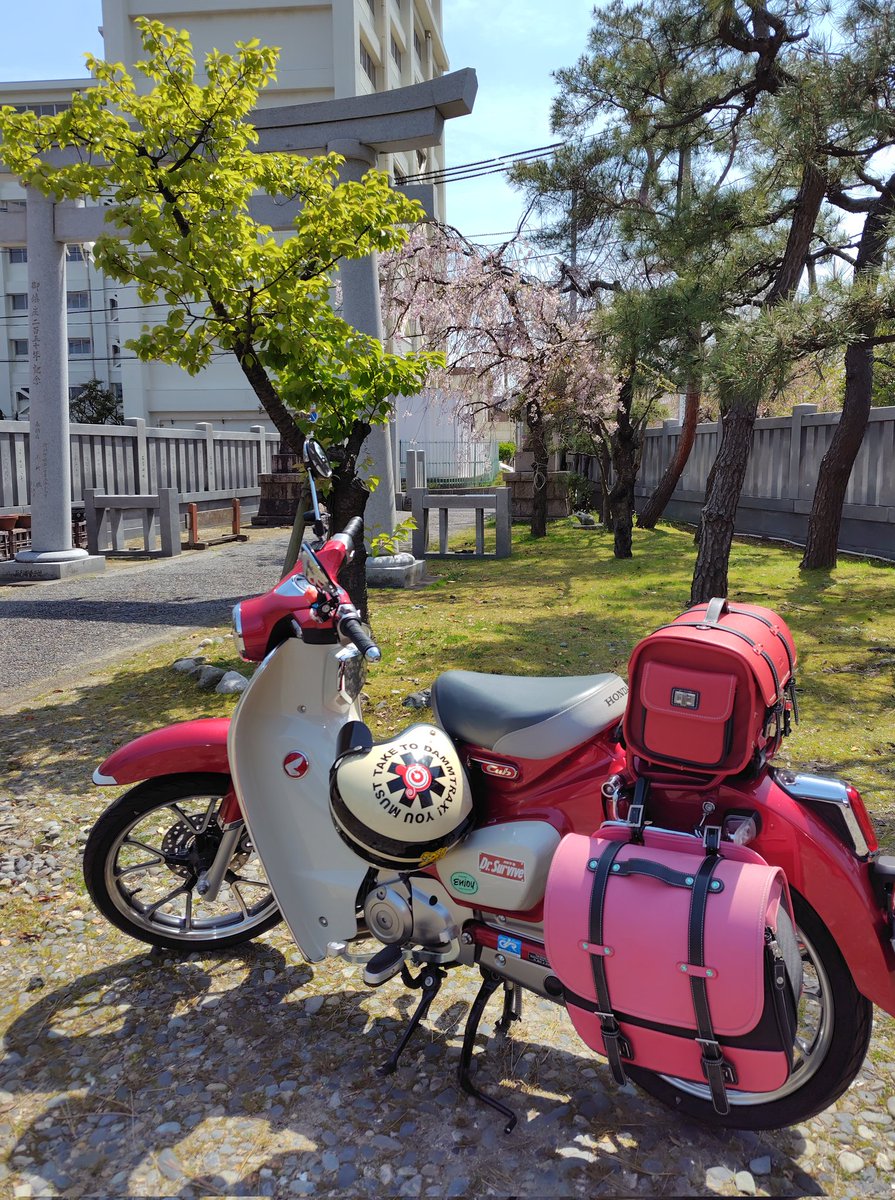 チュウゲン/Kumanouno.lab tweet media