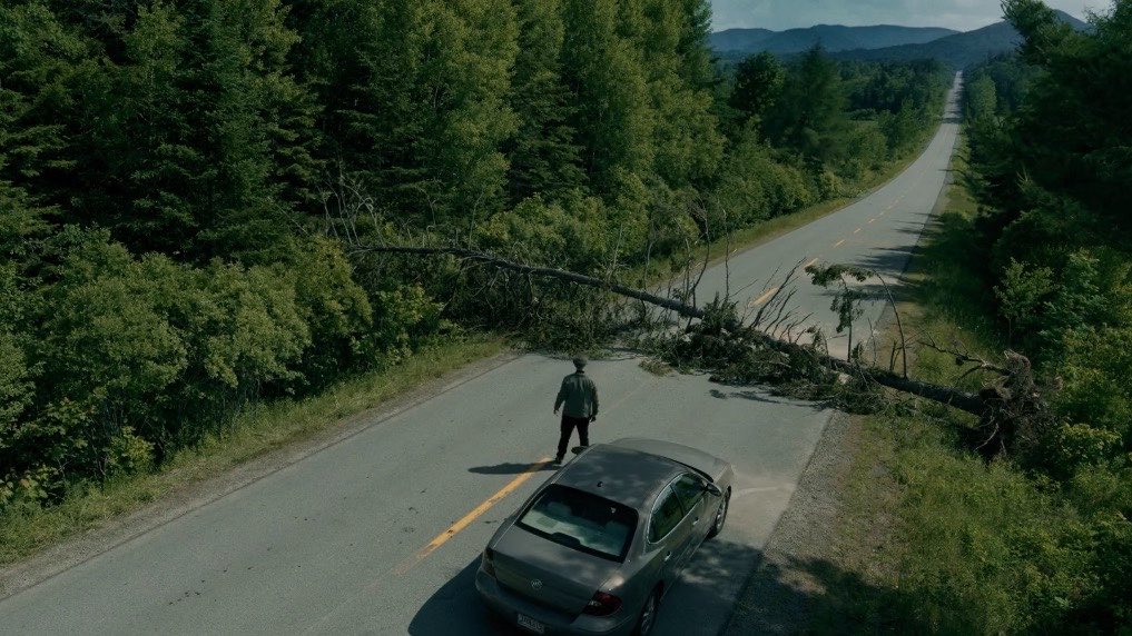 كورت tweet media