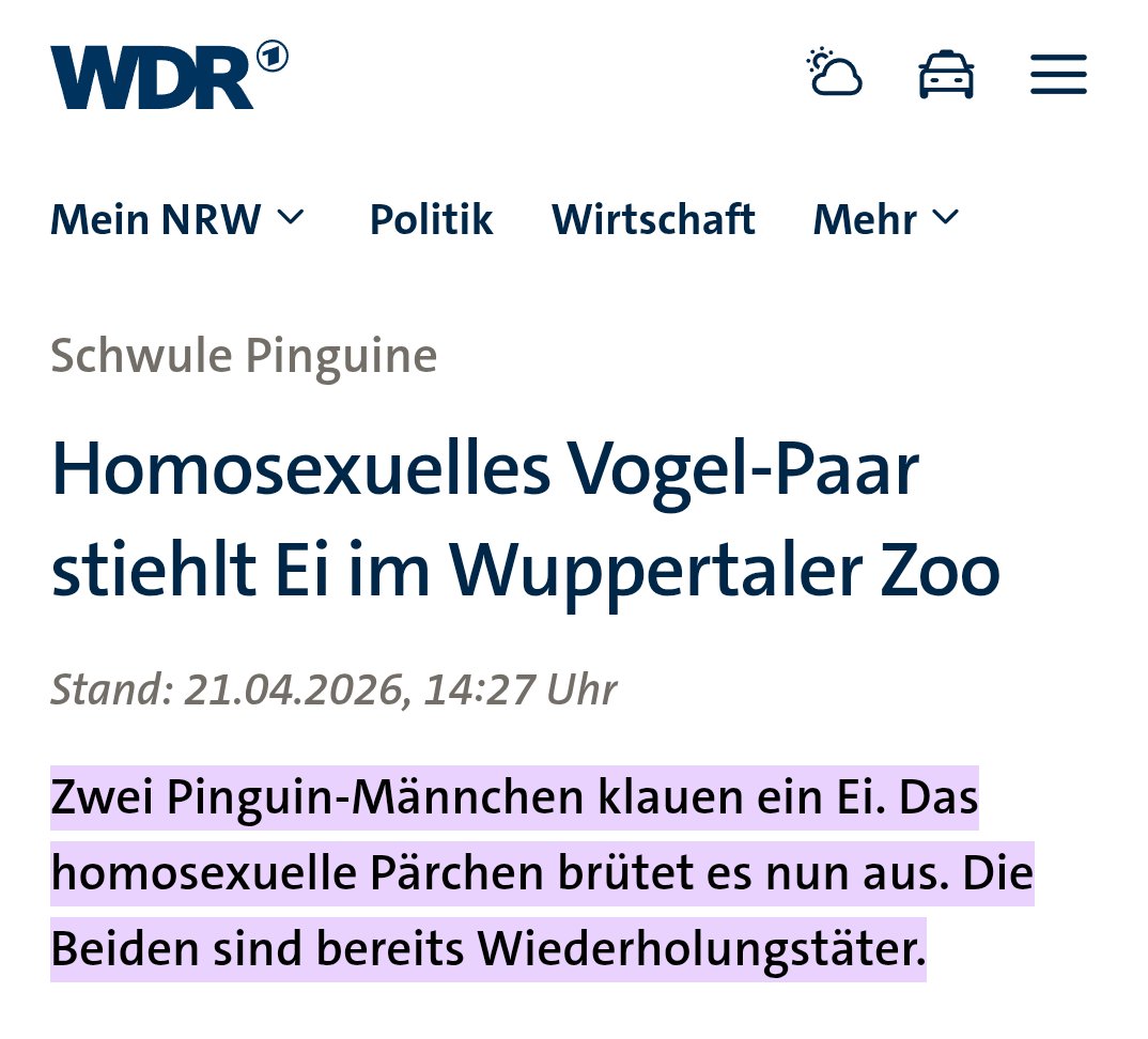 Daniel Bache 🏳️‍🌈🚩 tweet media