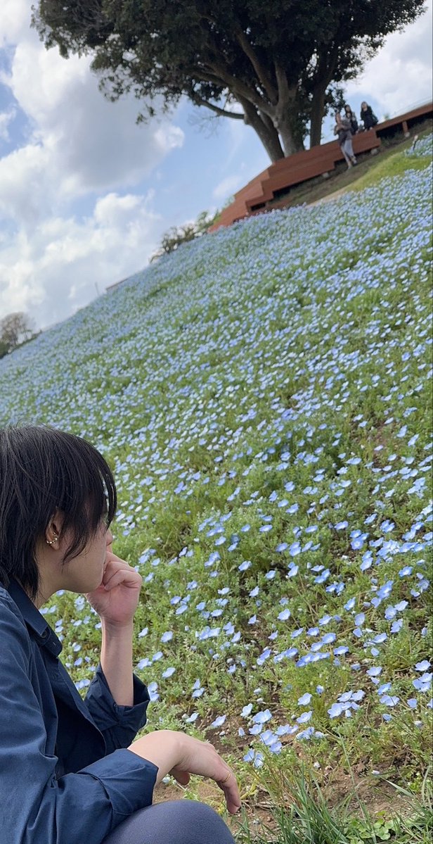 みーてぃ tweet media