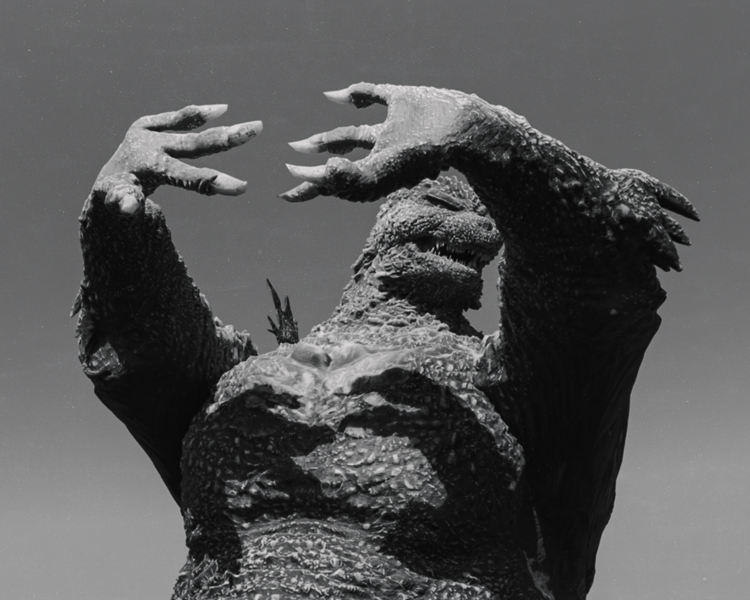 Nuno Sarnadas tweet media