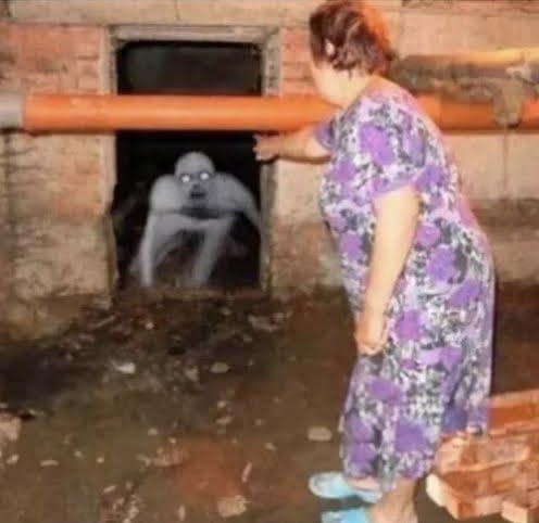 Катерина tweet media