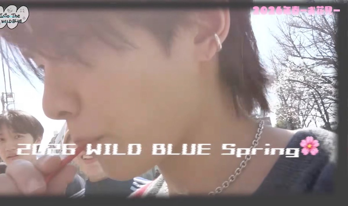 いさき🐱🩵🍑 tweet media