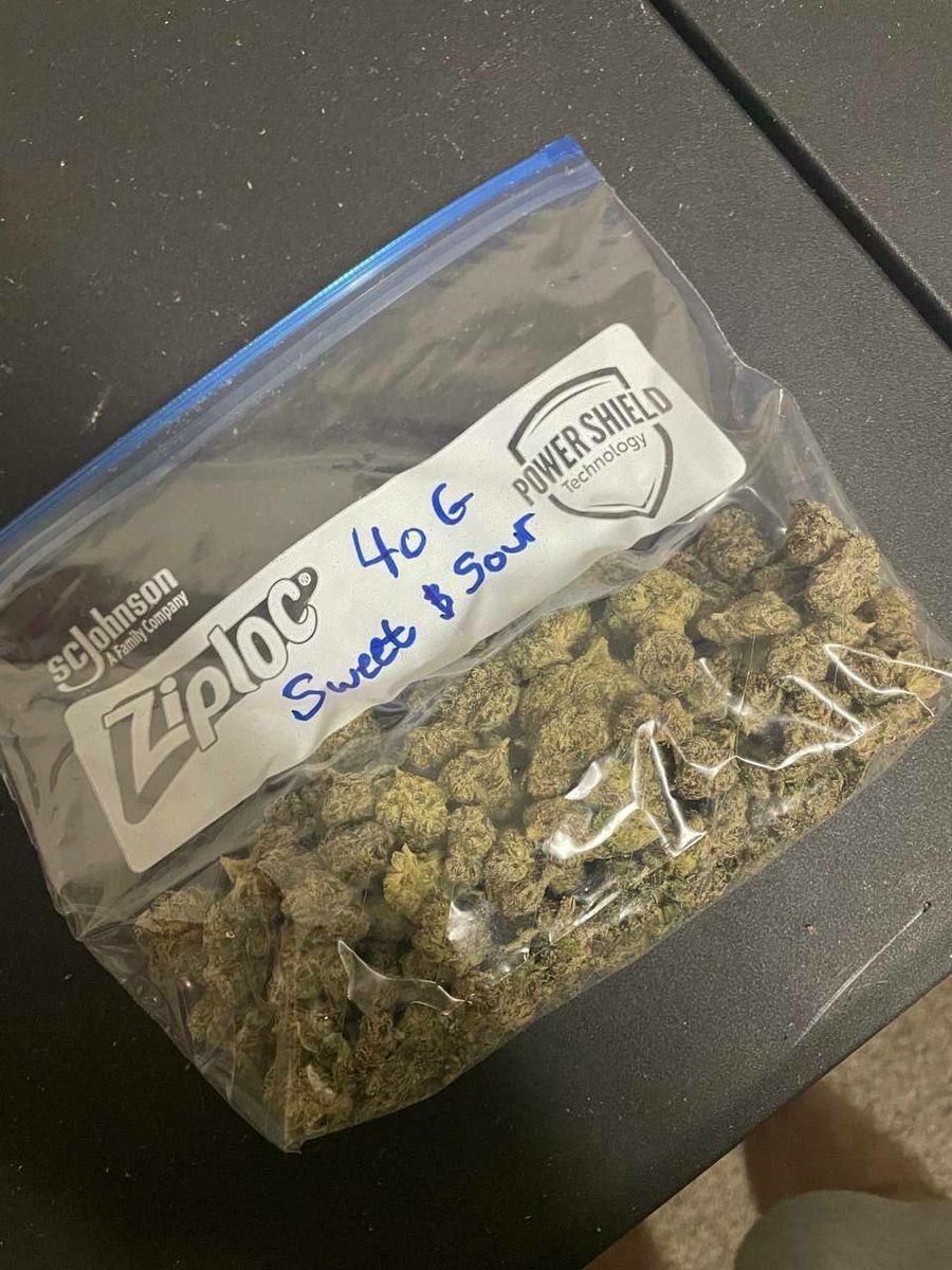 sincity seeds tweet media