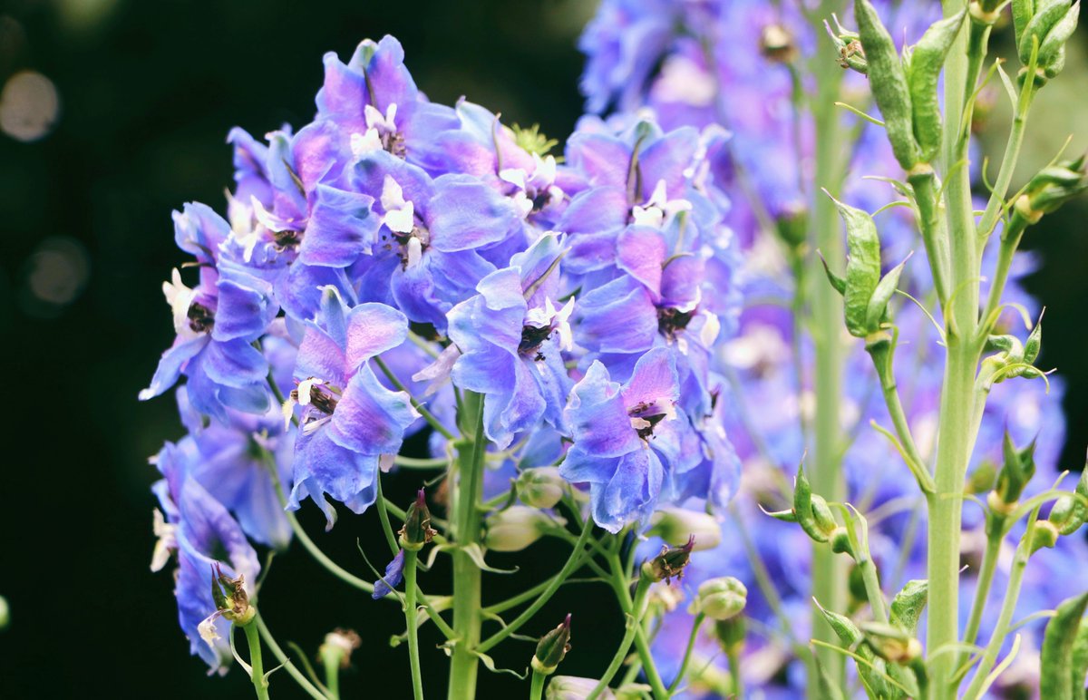 矽塑人生 tweet media