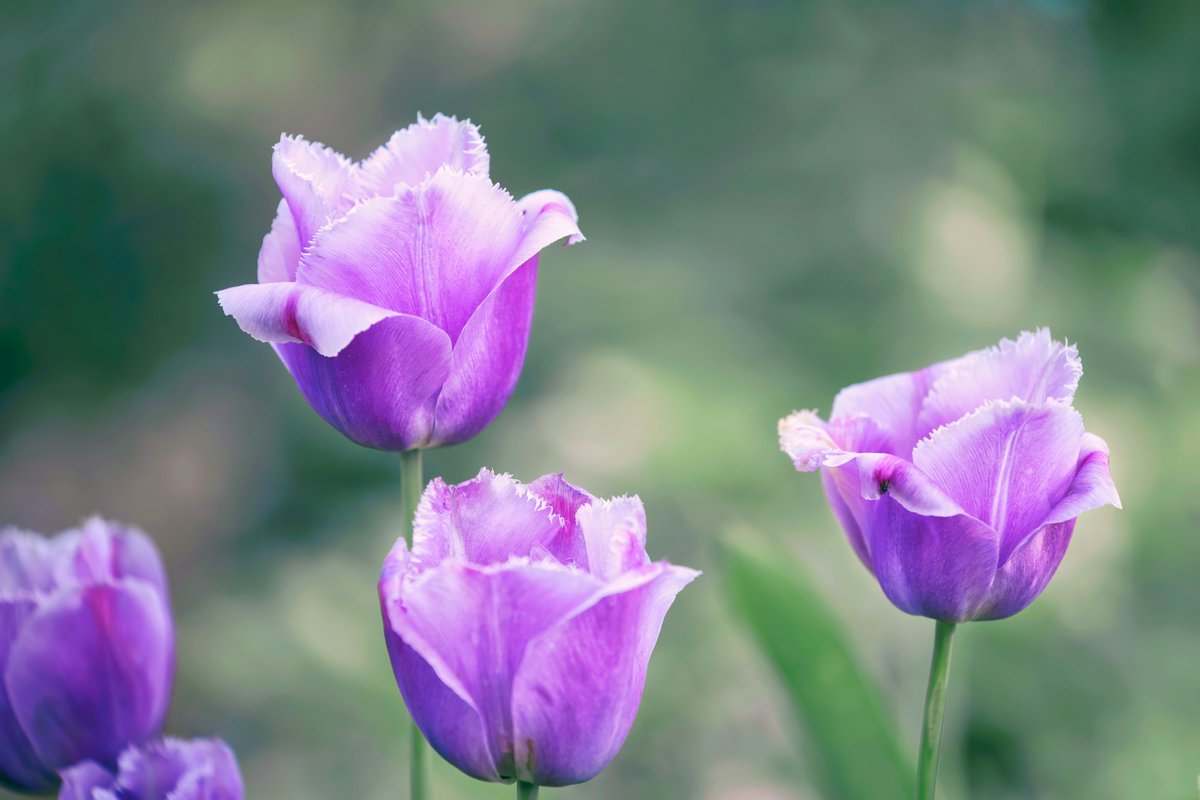 矽塑人生 tweet media