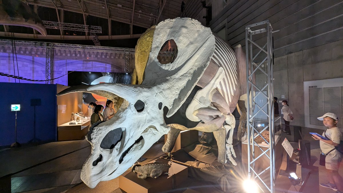 Blackbuck tweet media