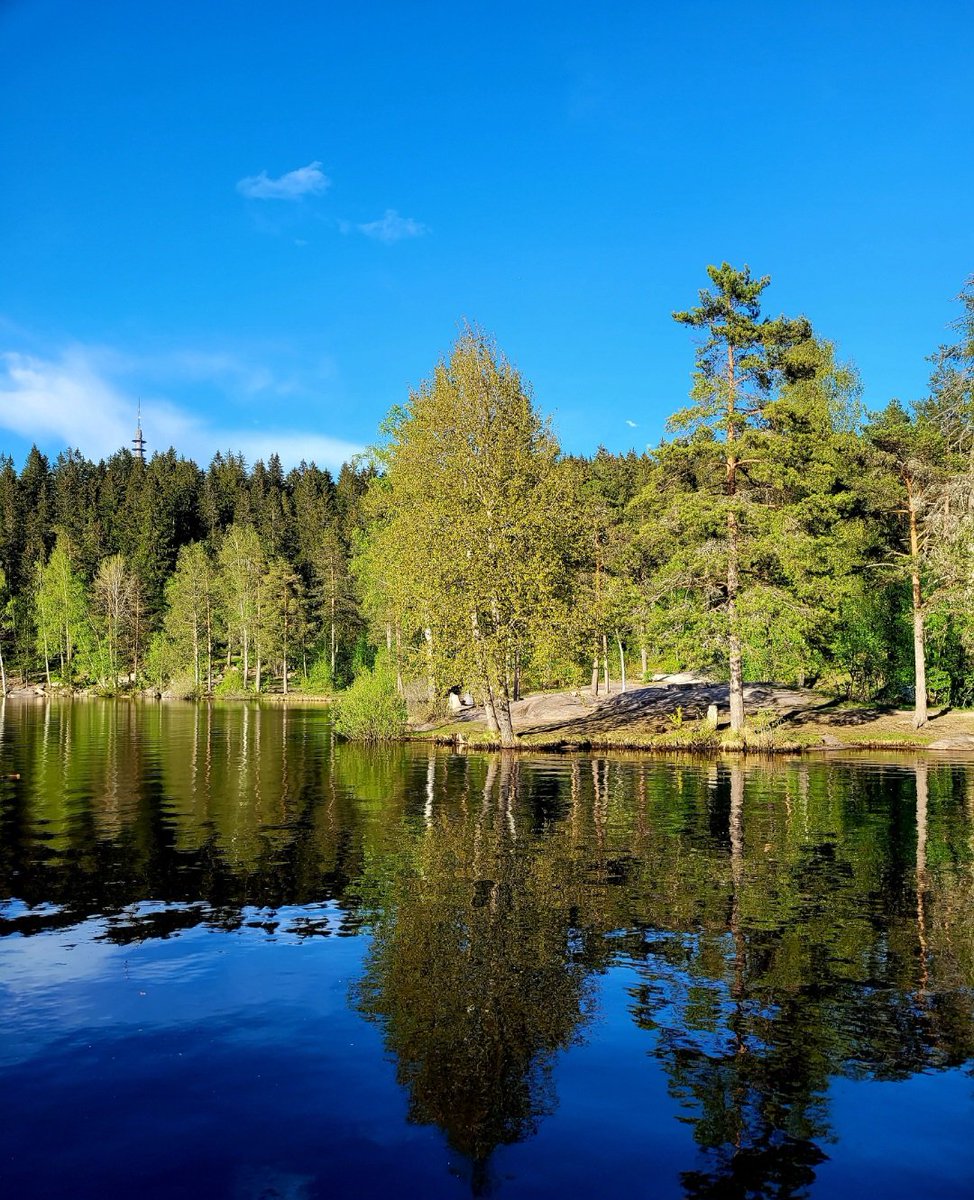 HammoudSana's tweet image. Beautiful pic 💚
I love reflection 
📸

#Reflection