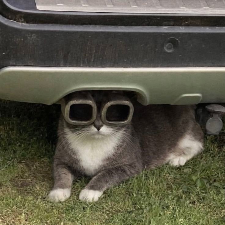😎