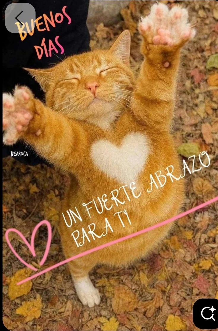 El Grande tweet media