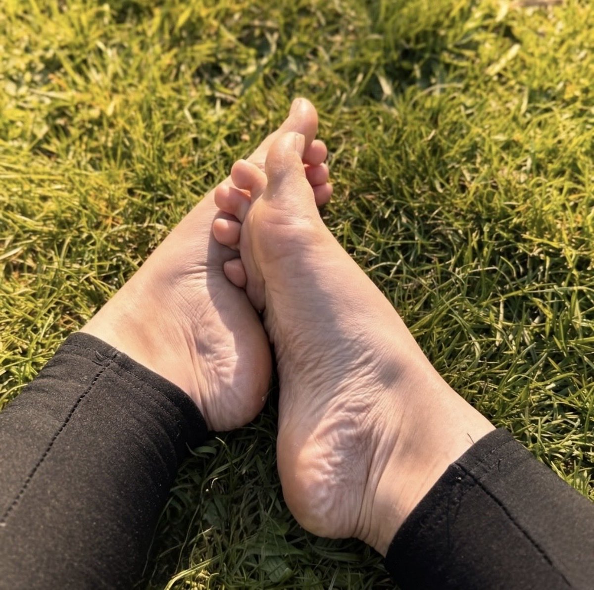 MissMajaSoles tweet media