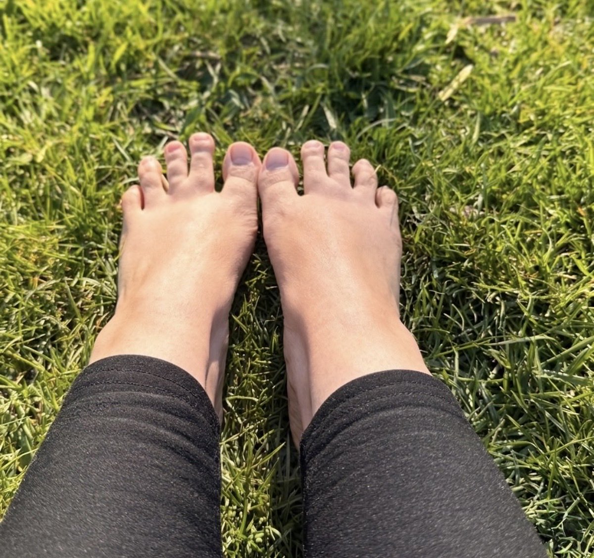 MissMajaSoles tweet media