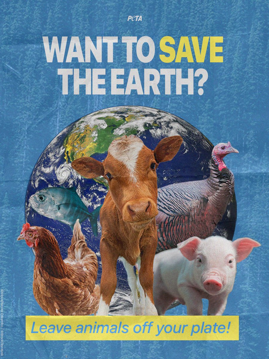 peta's tweet photo. One of the best ways to help conserve water, prevent natural disasters, &amp; slash greenhouse gas emissions is to just stop eating animals! It’s as simple as that 💚
 
This #EarthDay, help the earth by going vegan 🌱 https://t.co/jpkf1dE8pd