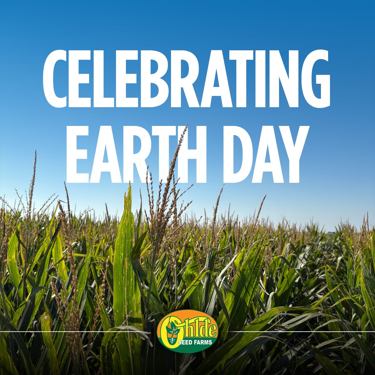 OhldeSeed's tweet photo. Every season starts with the same foundation — the ground we farm.

From how we manage inputs to how we care for each field, stewardship plays a role in every decision made throughout the year.

This Earth Day, we recognize the responsibility that comes with it. https://t.co/laOxIWWpYq