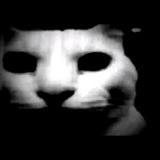 Hack Fuegos tweet media