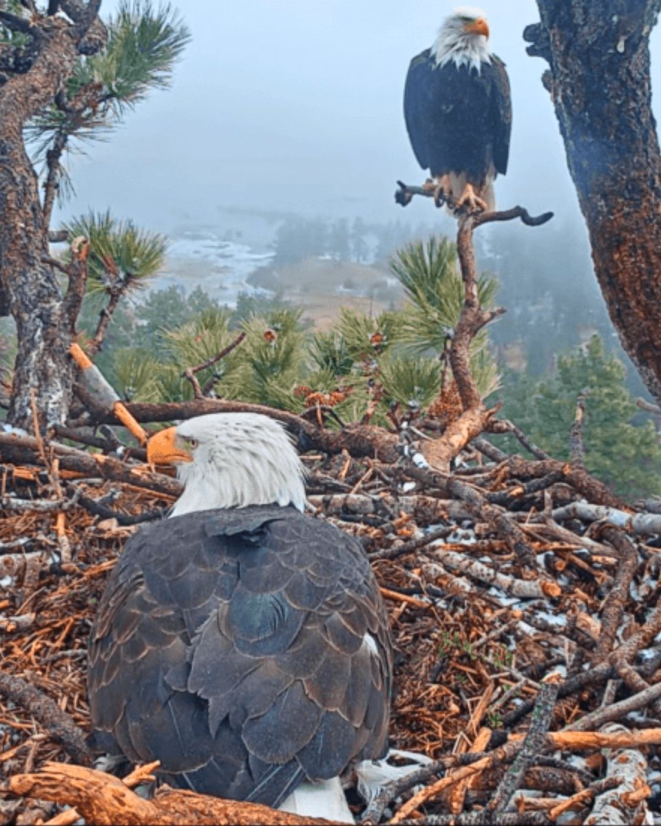 BigBearFrontier's tweet photo. Happy Earth Day from Big Bear Lake!🌎🌲
Where fresh mountain air, sparkling waters and towering pines remind us just how beautiful our planet really is.

However you’re celebrating today, don’t forget to get outside, breathe it in and leave it better than you found it. 💚 https://t.co/jbBCMOEsbM