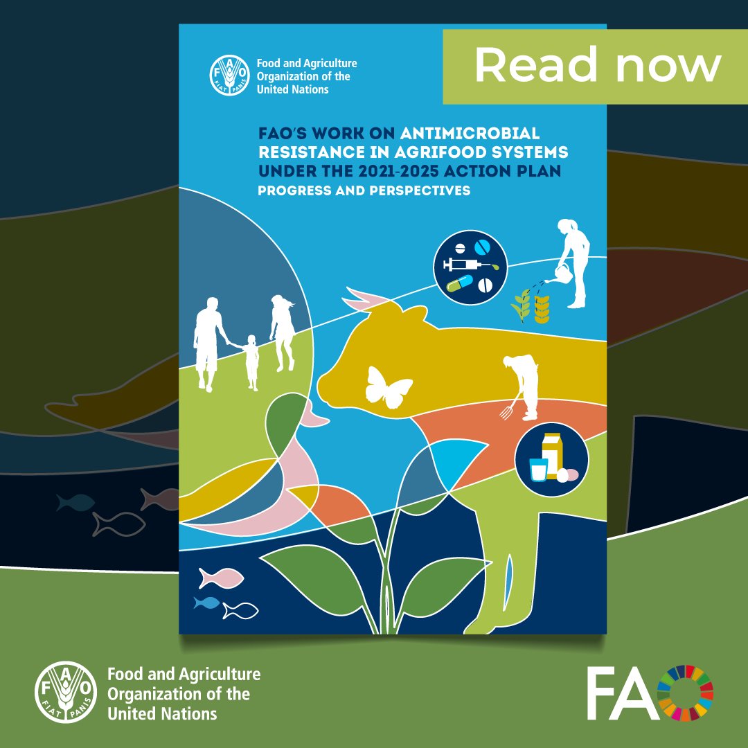 FAOLivestock's tweet photo. Strong animals, smart farms, safer food.

🌾🐄 Explore @FAO’s work on #AntimicrobialResistance in agrifood systems under the 2021–2025 Action Plan and see how smarter practices are transforming livestock and food security worldwide

➡️ https://t.co/wSnIVA53gO

#AMR https://t.co/kRq7Tz6GjK