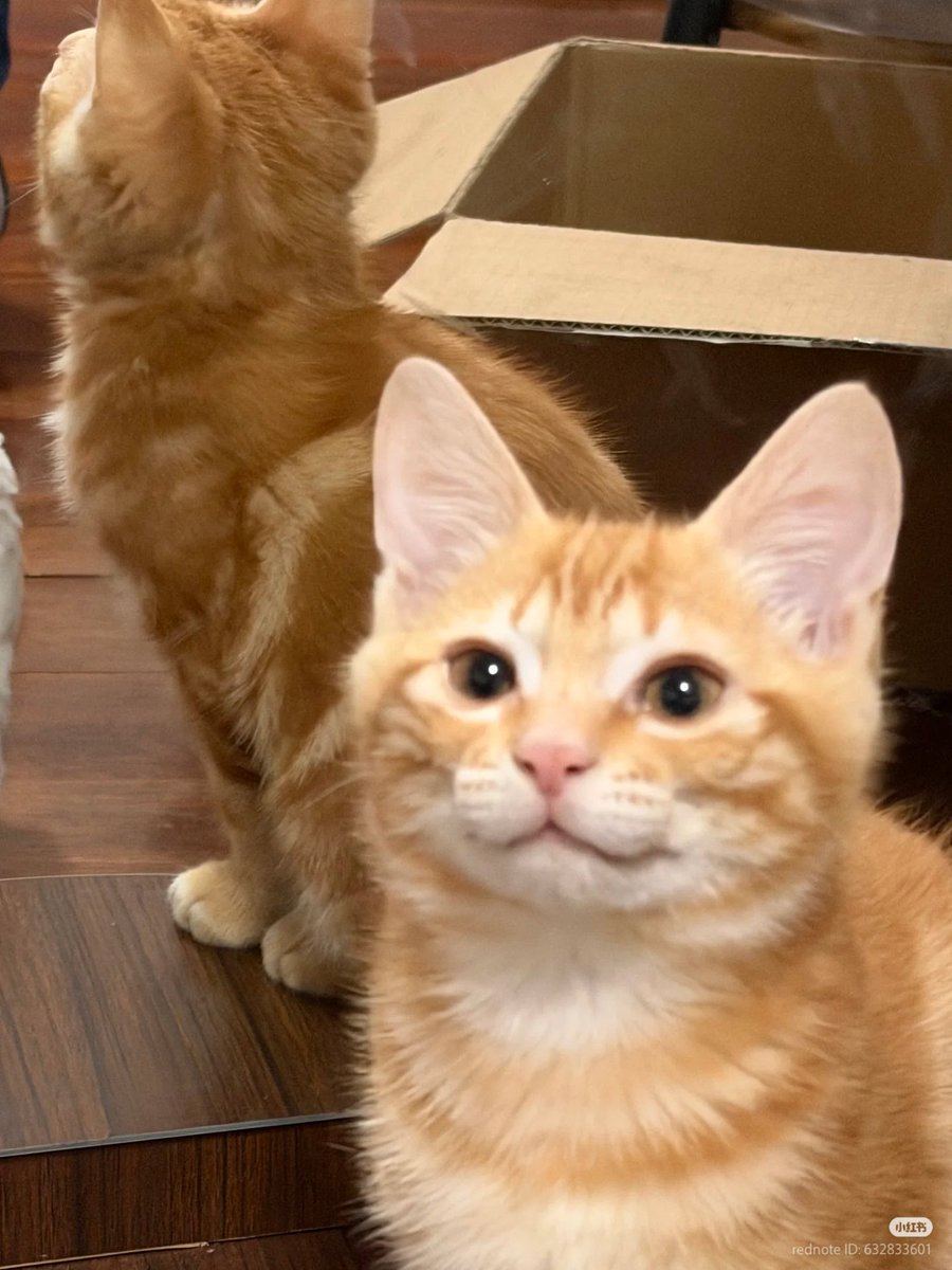 :3