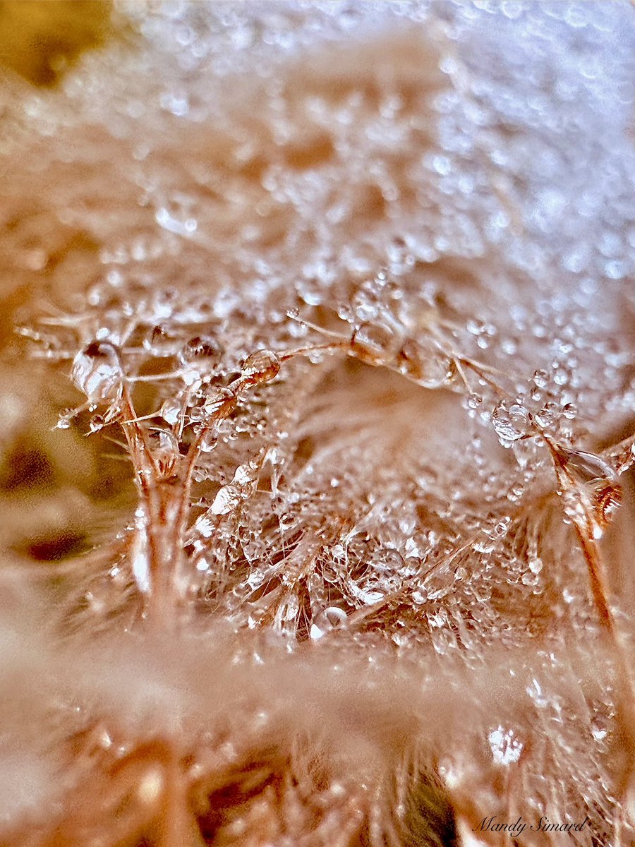 MandyLSimard's tweet photo. Water Wednesday
Letβs see your favorite water shots! https://t.co/fSIbpOofdO